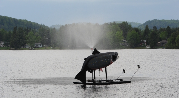 La truite géante