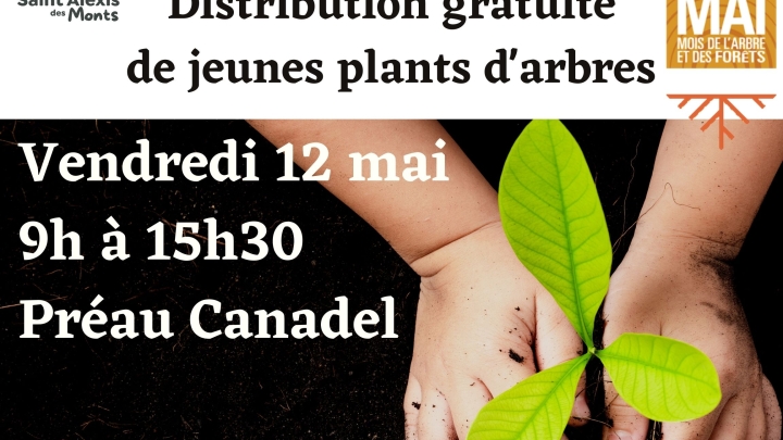 Distribution d'arbres