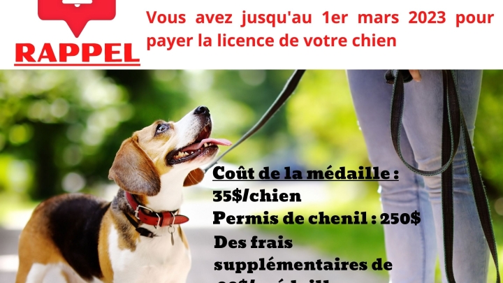 Licences 2023