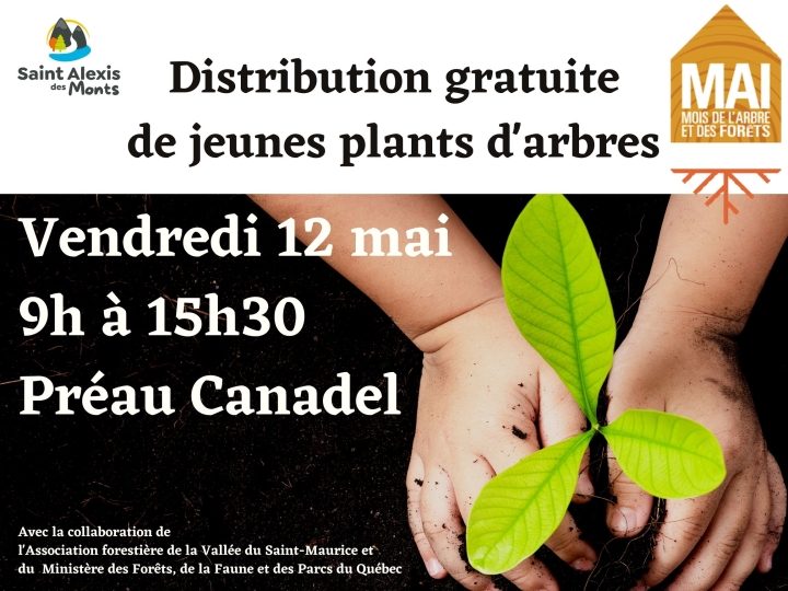 Distribution d'arbres